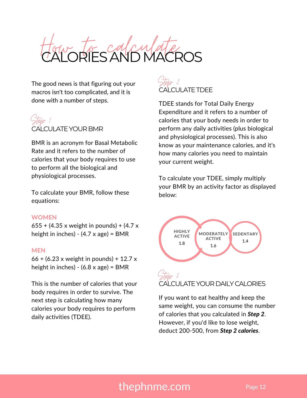 101 Fitness Guide (Free With Purchase)