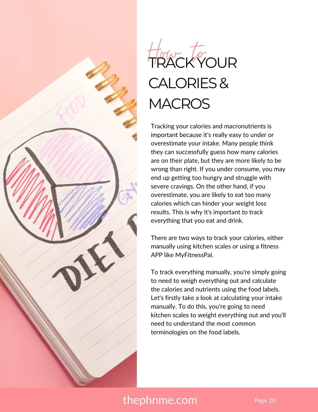 101 Fitness Guide (Free With Purchase)
