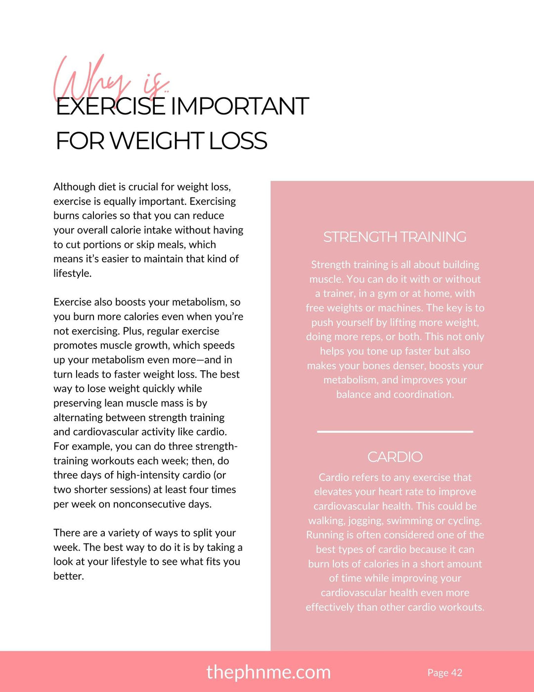 101 Fitness Guide (Free With Purchase)