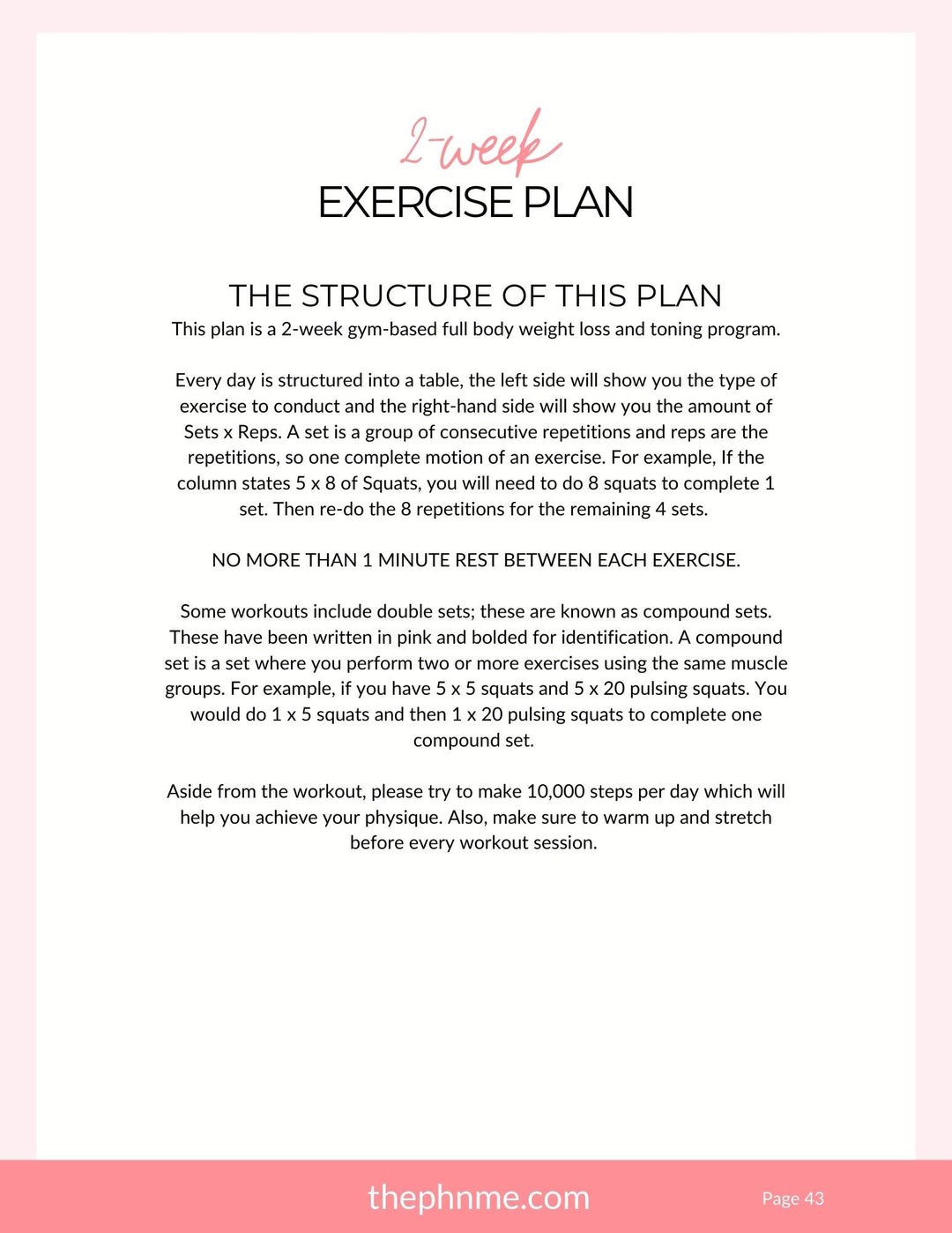 101 Fitness Guide (Free With Purchase)