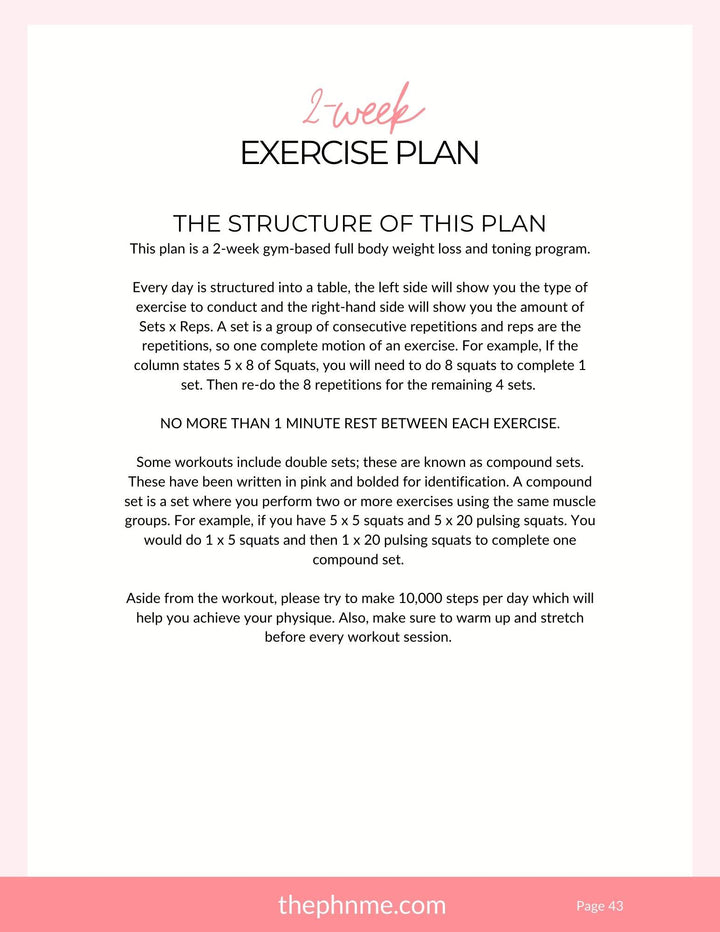 101 Fitness Guide (Free With Purchase)