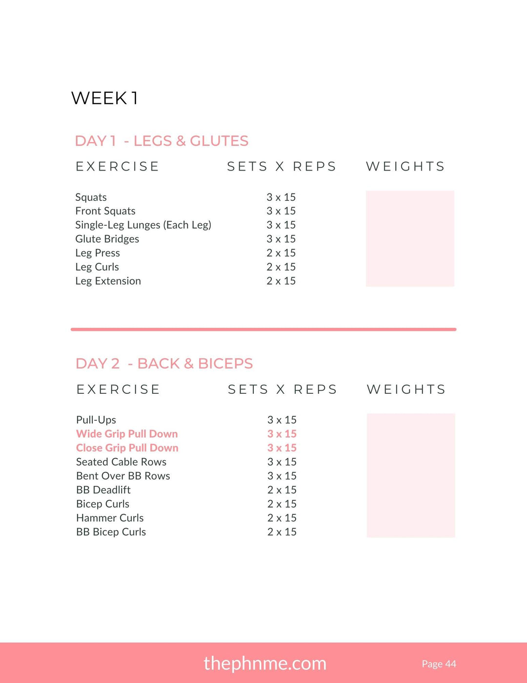 101 Fitness Guide (Free With Purchase)