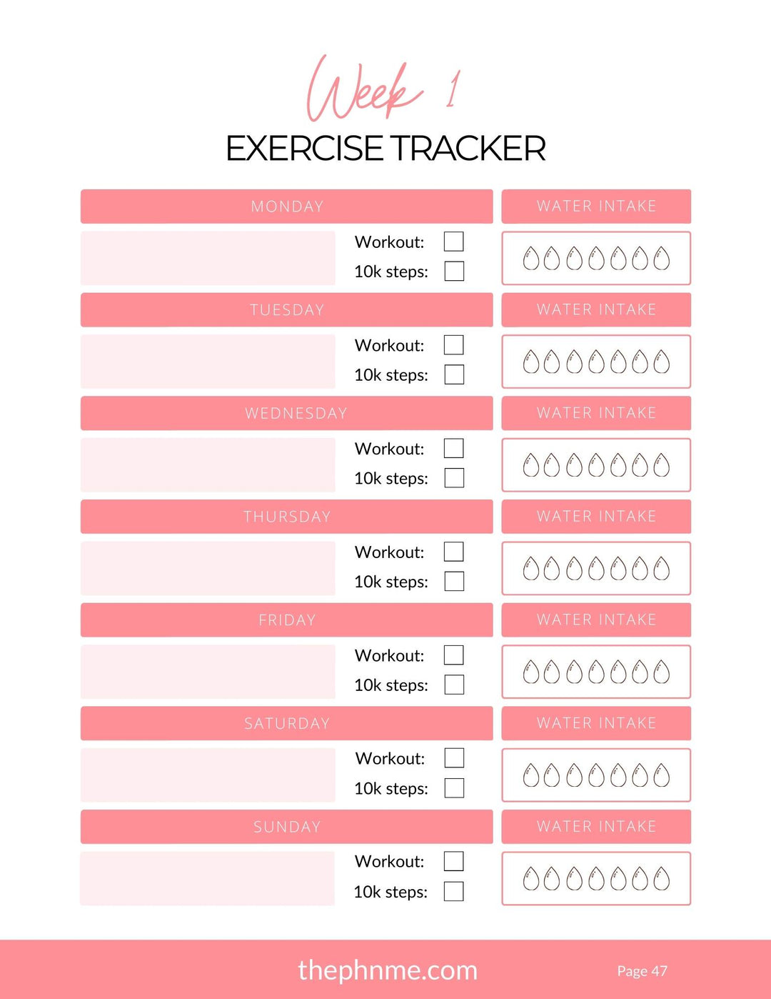 101 Fitness Guide (Free With Purchase)