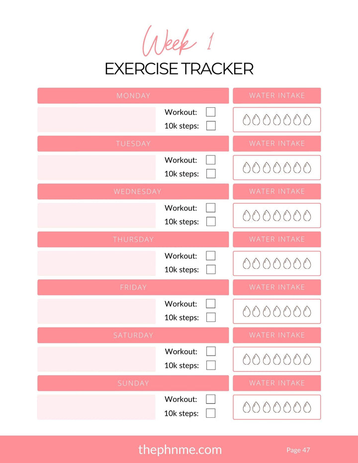 101 Fitness Guide (Free With Purchase)